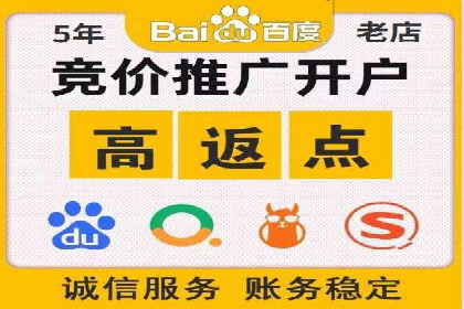 信息流广告的精准定位与效果优化案例分析